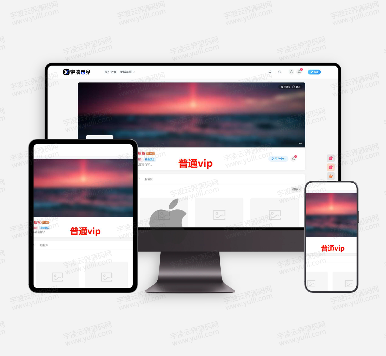 子比主题-检测用户VIP等级显示不同昵称颜色-宇凌云界